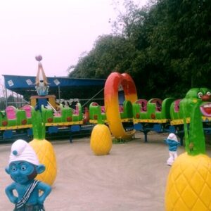 Caterpillar Roller Coaster Gallery View