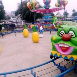 Caterpillar Roller Coaster Gallery View