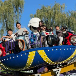 Mini UFO Ride Gallery View